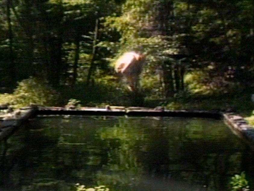 Photo "The Reflecting Pool" by Bill Viola, c. 1977-1980